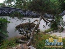 近地铁 无抵押,电梯房,新上房源