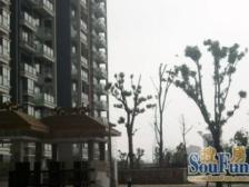 14号线地铁口50米 出行便利 低密度社区 车位充足