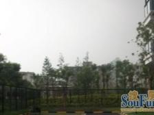 新上南北格局 户型好 中楼层 视野采光佳