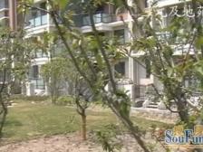 三元及地苑1室南朝向333.00万元/套出售