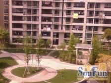 位置安静 楼层好 四开间朝南,百万新装修 保养好