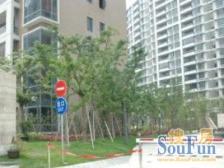 新上房源,楼中复式,全天采光,户型方正,视野好