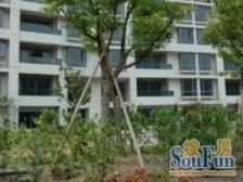 联洋·联洋花园一期·2室·0厅