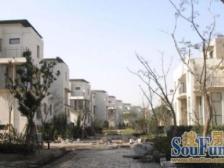 金地格林春晓4室南朝向1590.00万元/套出售