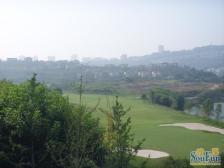 汽博旁,人车分流央企小区,低密度住宅