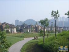 保利高尔夫豪园 3室1厅 东南