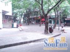 花卉西一路 2室1厅 南