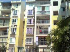 黄桷雅居+三室两厅两卫+长寿黄桷湾