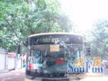 业主出售意愿强,花卉园旁,不是顶楼