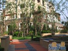 4跃5的顶跃洋房,拎包入住,带大露台