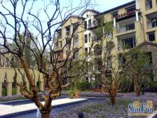 北部新区 龙湖好望山五房480万