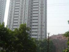 鱼洞 一城龙洲三房56万