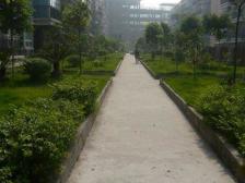 鱼洞 一城龙洲三房61万