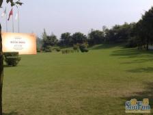 蓝湖郡独栋豪装 5房395平豪装