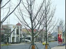 鸳鸯 龙湖蓝湖郡西岸五组团八房2360万