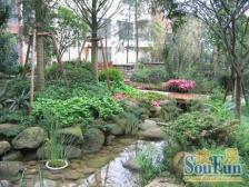 蓝湖郡西岸清水独栋,业主诚心出售