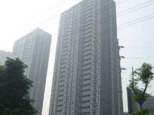 一城龙洲 3室2厅 南