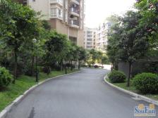 楼层好,视野宽阔,精装住家一房 , 带阳台 ,采光好