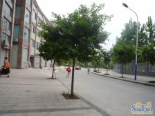 城南新区 富馨苑二房53万