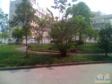 城南新区 金福花园(北碚)三房58万