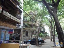 老城区 静宁路三房56万