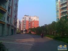 缙云小区A区 3室2厅 南