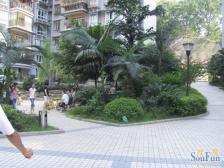 业主安心卖房,出行方便老城次新小区电梯房