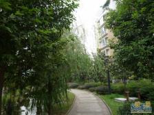 城北新区 云景华庭三房150万