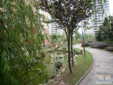 城北新区 云景华庭二房56万