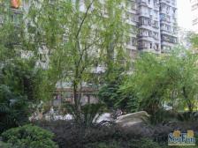 北碚区公交车站旁精装三室两厅出售