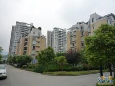 云景华庭 简单装修 楼梯房 四室出售