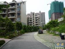 中抰美苑精装一室一厅户型方正领包入住。