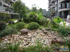 城南新区 中央美苑二房68.8万