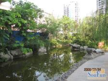 人民广场 竹映三清二房39.1万