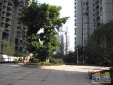 人民广场 竹映三清三房58万