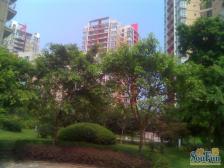 轻轨站,步行街旁,精装两房,出行方便