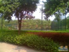 此房满五年 ,朝中庭住家安静,拎包入住