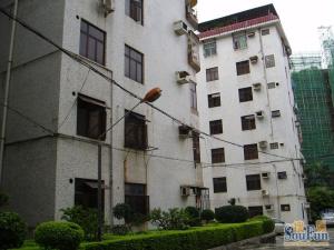凤乐新村精装大三房户型方正视野好