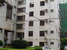 沃尔玛旁 凤乐新村1房1厅 户型方正 采光好 配套齐全