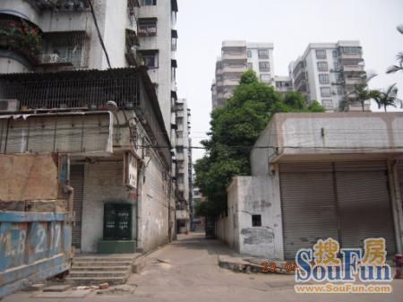 松园里小区实景图