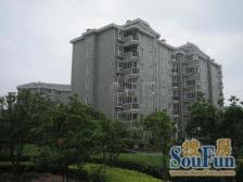 小区中间,一楼带院和大转角阳台,看房方便