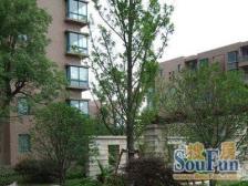 九亭 · 象屿都城 · 3室 · 2厅