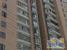 近地铁大平层现场实勘采光好必看好房