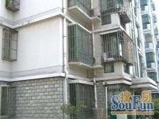 小区独有电梯高区出售,样版房装修