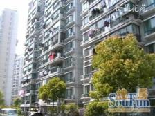 婚装30万,可拎包入住,无竞品房源,新江湾湿地公园旁