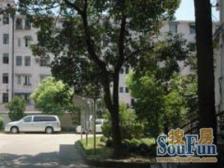 运营总推荐,南北通透精装修2房,低总价非顶楼诚心卖