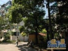 南北全明一房钥匙房 位置安静满五年 业主诚意