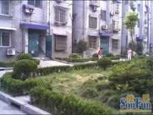 北蔡·国脉苑·3室·0厅