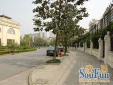 古北·西郊花园别墅·8室·2厅