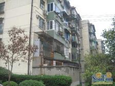 三开间朝南+南北通+老装修+采光通风好+诚意卖价格可谈